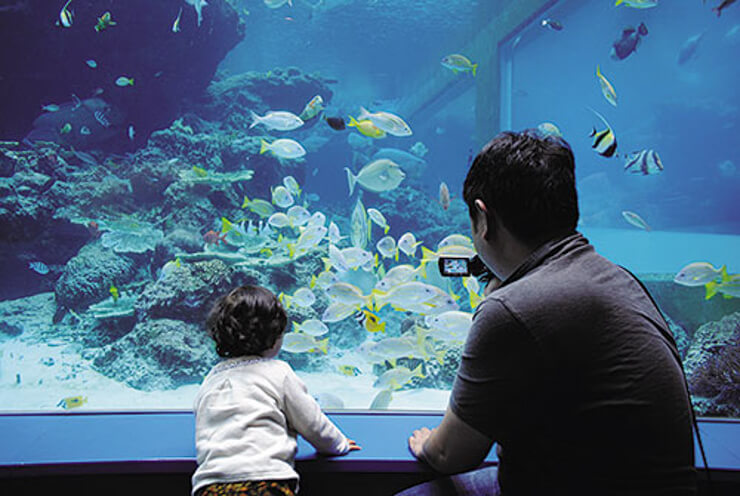 水族館の例