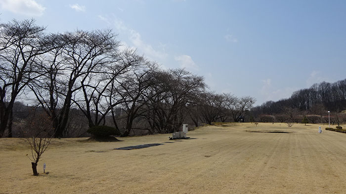 桃や桜たちの蕾