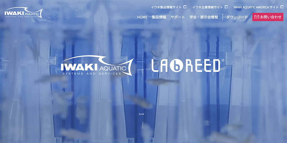 イワキアクアティックサイトを開設